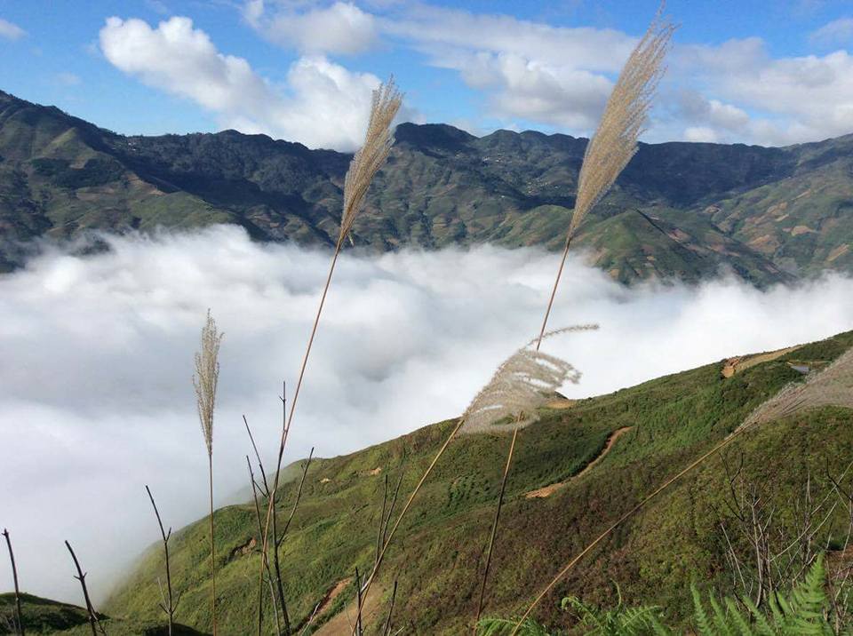 tour mộc châu tà xùa