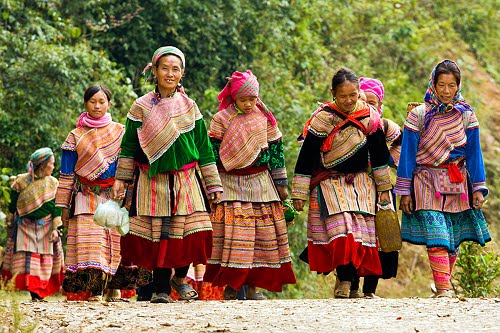 The Hmong 123