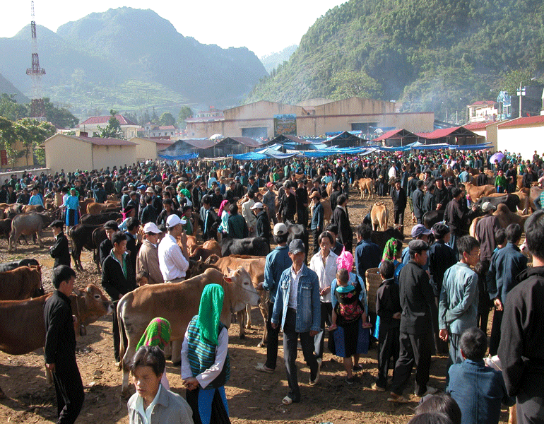 Top 7 markets you should not miss while visiting Ha Giang
